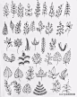 各种植物线稿植物手绘百科全书系列，造型多样更有艺术性