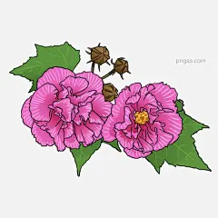美容芙蓉花卉插画图片大小2000x2000px 图片尺寸1.11 MB 来自PNG搜索网 pngss.com 免费免扣png素材下载！插画#芙蓉#红色#花朵#花卉#花蕊#花叶#卡通手绘#开放#美丽#美容#怒放#生物#
