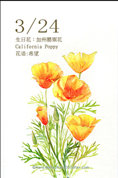 撒雪花的菇凉采集到生日花