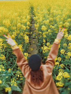 铁勺猫采集到油菜花