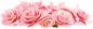 玫瑰9