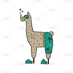 可爱的手绘插图，一个喇嘛在沙滩短裤和游泳面具。