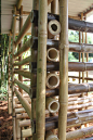 Why Bamboo Is More Stronger Than Steel Reinforcement? - Engineering Discoveries : Bamboo has quite a high tensile strength. It is comparable with steel. Apart from this, bamboo has an impermeable protective layer on the outer side which