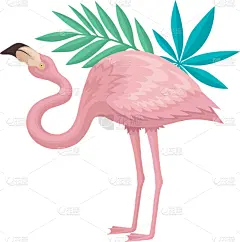 粉色,深情的,绿色,火烈鸟,羽毛,可爱的,请柬,贺卡,传单,野生动物