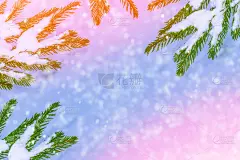 冰雪覆盖的冬季森林