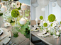 Modern Circle-Inspired Green & White Wedding Inspiration