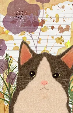 猫之插画图集丨绘画动画素描水彩手绘临摹案例