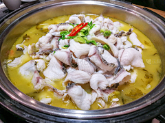 苏鸽采集到菜单