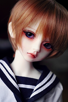 liyuesmc采集到BJD