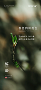 惊蛰