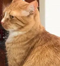 表情包~自己配文字玩哦