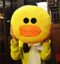 正版Line friends 布朗熊/可妮兔/馒头人/莎莉/雷纳德沙发抱枕-淘宝网