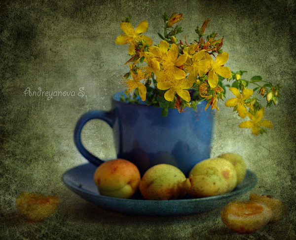 Svetlana Andriyanov静...