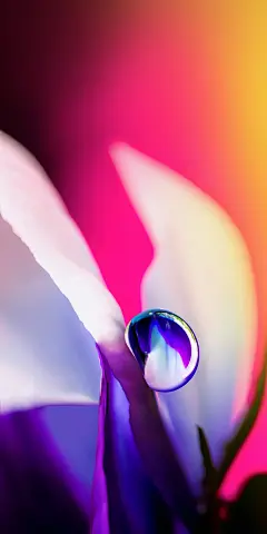 LG Stylo 5手机自带壁纸（6）