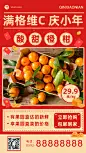 小年春节产品营销手机海报
