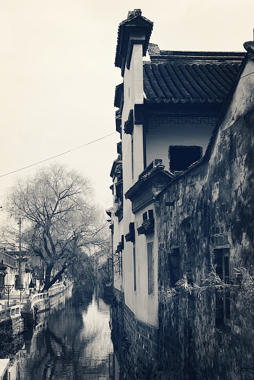 爱其自然
终成画
