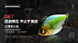 路亚海报