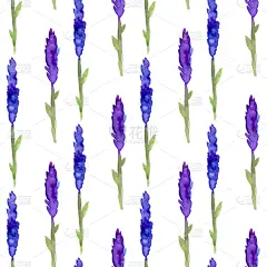 式样,水彩画,熏衣草,四方连续纹样,季节,夏天,紫色,纺织品,可爱的,植物学