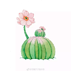 流言以衡采集到插画植物
