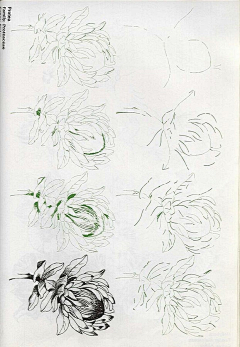 子蘑菇采集到画画技法