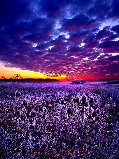紫色日落，威斯康星州