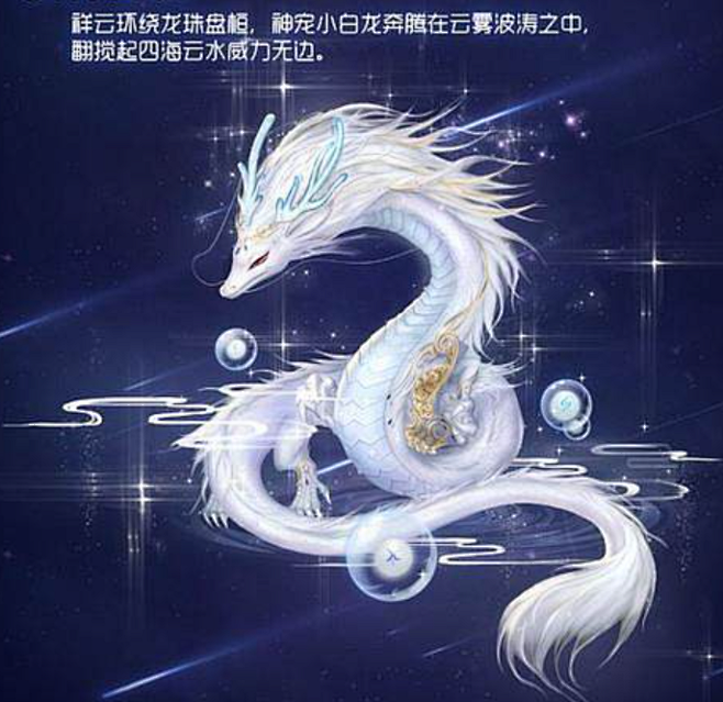 小白龙
