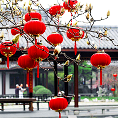 未眠^_^采集到元旦