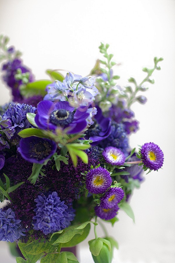 紫色花束——舒小姐花房