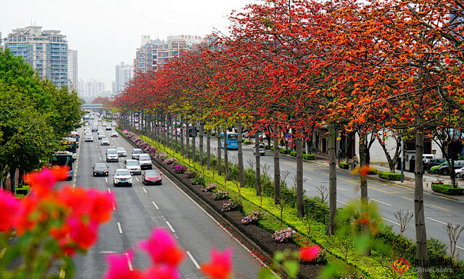 车在画中行 最美的风景在路上-佛山图景-...