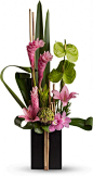 Now and Zen tropical bouquet.  Love the two bamboo sticks in front of the container.  lr: 
