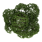 tree (24)