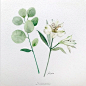 韩国插画师Kate kyehyun park作品