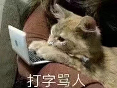 看棋山人采集到gif/搞笑