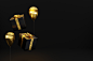 display21