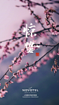 惊蛰
