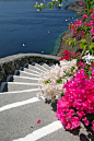 Santorini Steps 