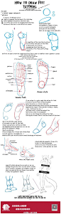 国外的各种画脚教程汇总，总有一种方法适合你：打包下载：O网页链接 @原画梦 @创意方舟教育 @CG硬克美术资源网