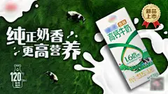 有机牧场牛奶主画面-设计素材-shejisc.cn