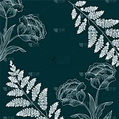 植物群,分离着色,草本,式样,计算机图标,华丽的,纺织品,壁纸,绘制,剪影