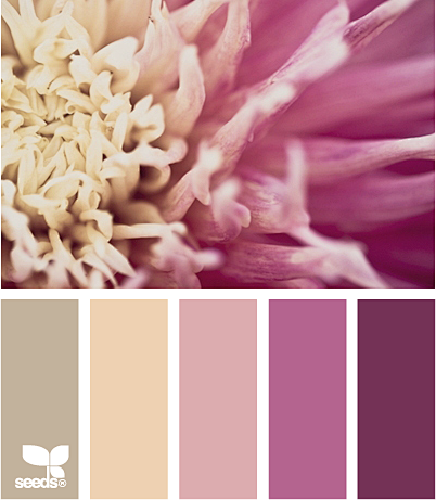 petal palette