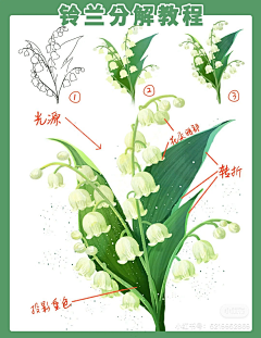 琉の璃采集到彩铅画