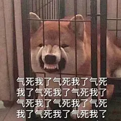 (50 封私信 / 20 条消息) 你有哪些「气死我了」的表情包？ - 知乎