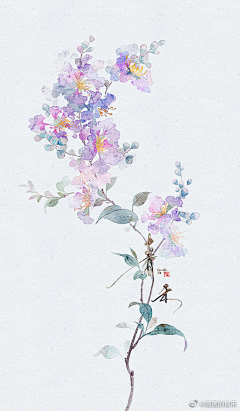 沟沟里的柿子采集到水彩国画