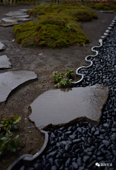 跳跳糖~植物Ren采集到空间感受