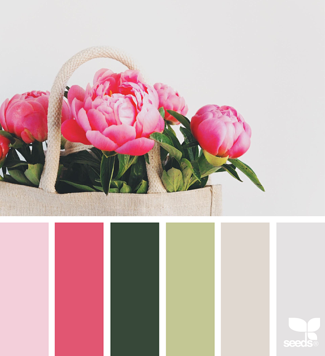 { peony palette } im...