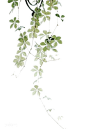 古风 免抠 素材