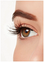 Brush eyelashes: 809 results found in Yandex Images