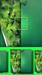 【乐分享】夏季树叶植物叶子海报PSD素材_平面素材_乐分享-设计共享素材平台
