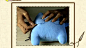 布丁多多DIY布偶手工坊 2013中国最具创意产品!