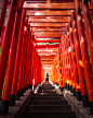 This is Japan : Isetan Mitsukoshi, a Japanese chain of stores, has commissioned to me a series of photos focused on observing and documentingsome aesthetic and cultural aspects of Japan that attract Europeans.I spent a dozen days exploring mainly the Toky